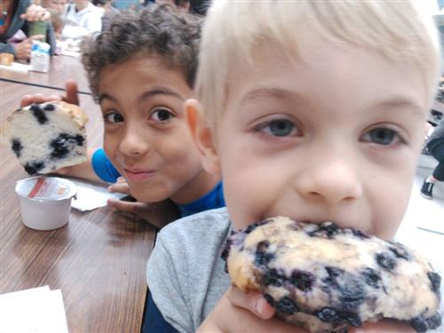 Muffins Tatum and Skyler 